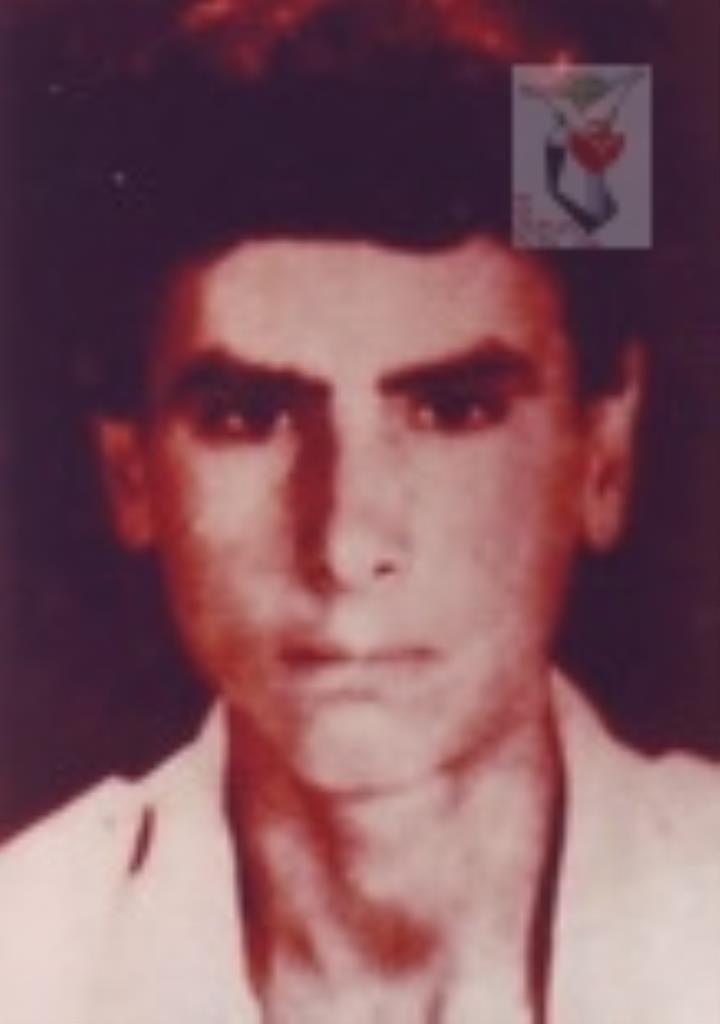 فاقد تصویر